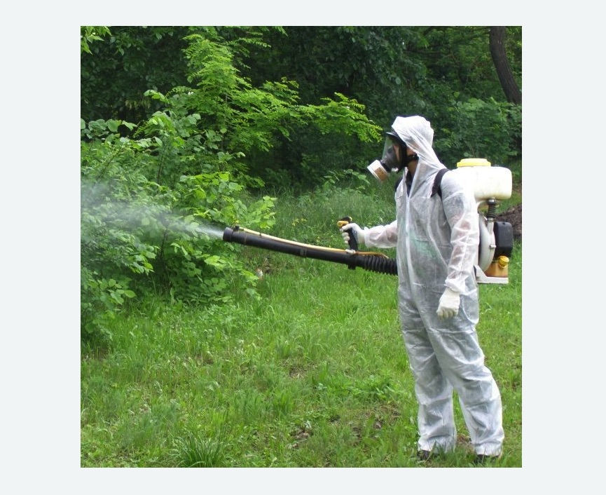 обработка дачи от клещей обработка территории от клещей в Первомайске