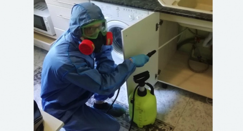 Уничтожение муравьев в квартире. Первомайск
