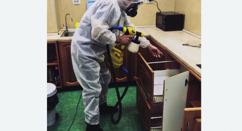 Уничтожение насекомых в квартире. Первомайск