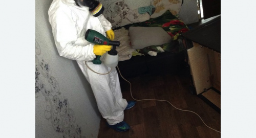 Обработка квартир от насекомых в Первомайске