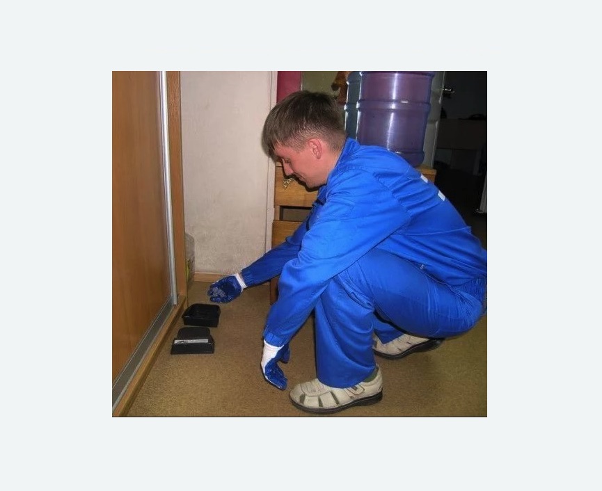 Дератизация крыс Дератизация крыс в Первомайске