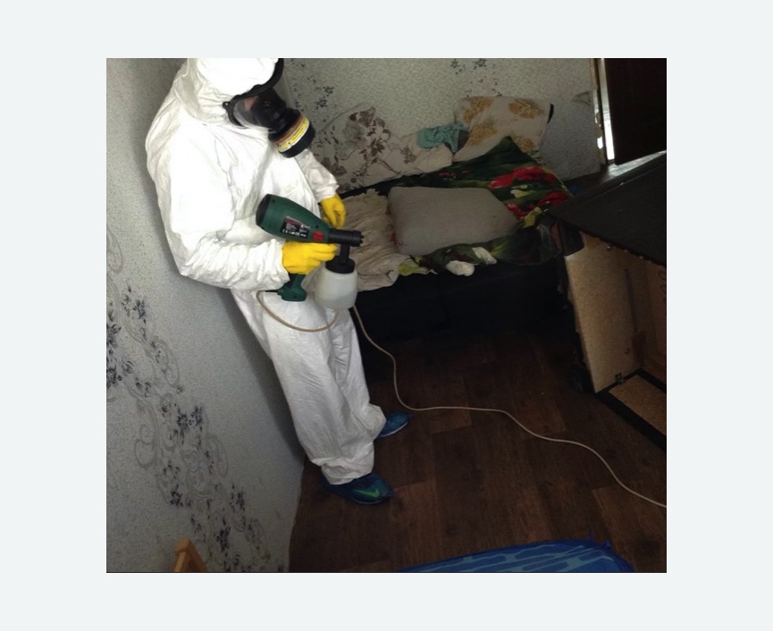 Обработка от насекомых в Первомайске Обработка квартиры от насекомых