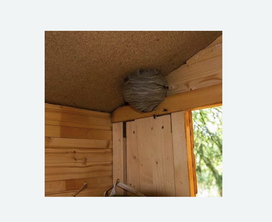 Обработка от ос в Первомайске Обработка от ос