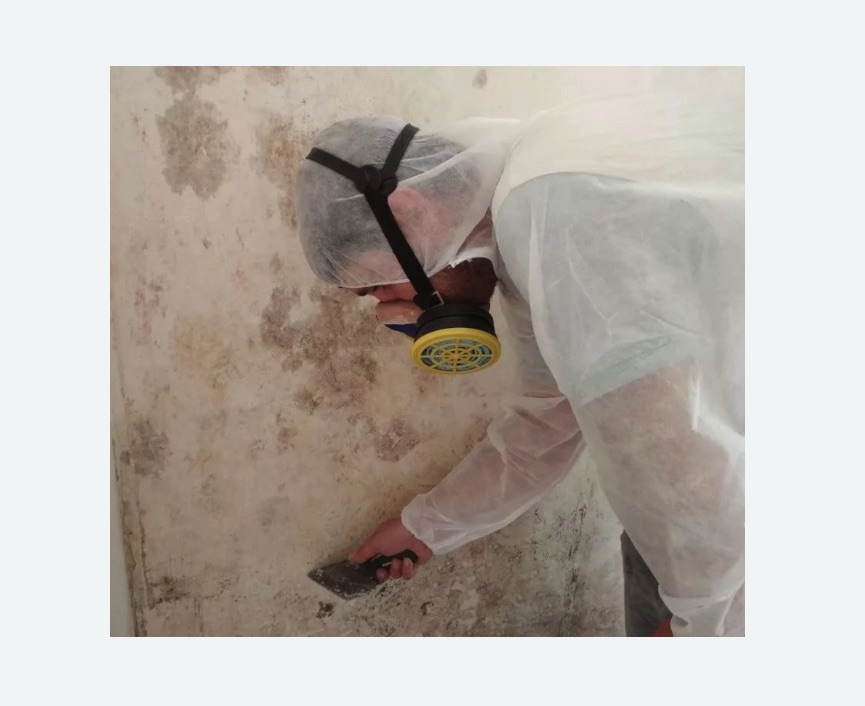 Обработка стен от плесени Обработка стен от плесени в Первомайске