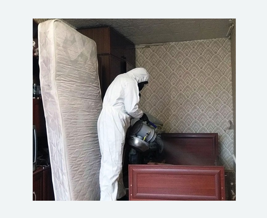 дезинфекция от клопов в Первомайске