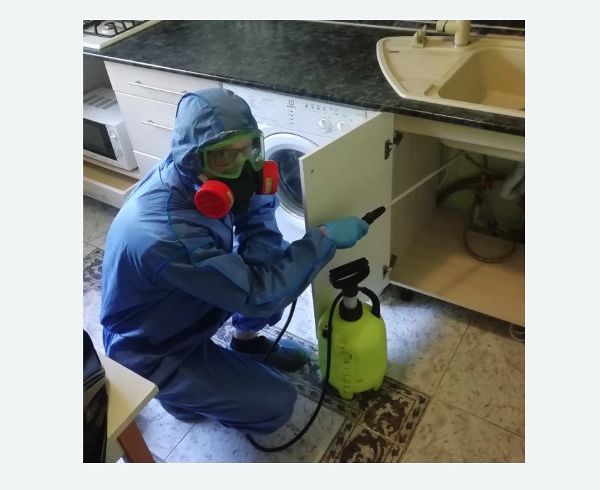 обработка от муравьев в квартире в Первомайске