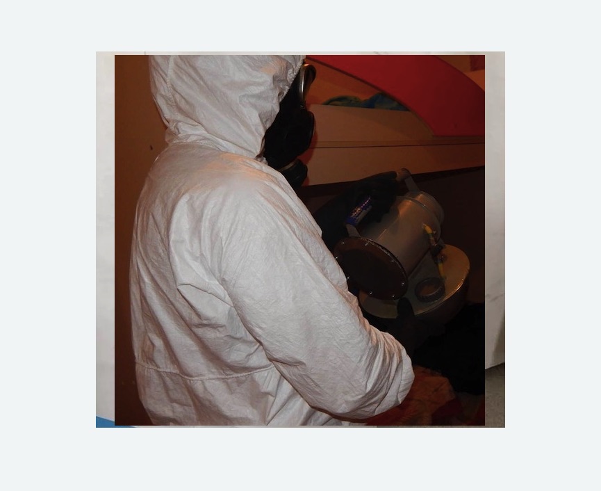 Дезинфекция от муравьев в Первомайске