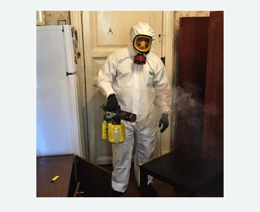 уничтожение муравьев в квартире в Первомайске